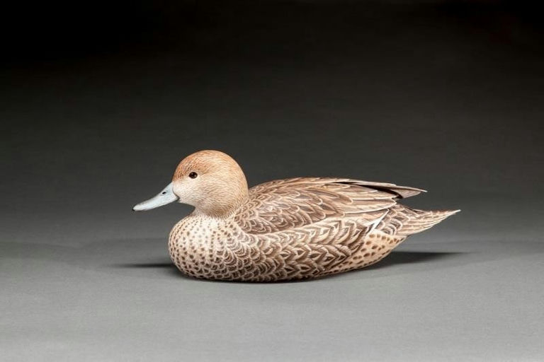 Randy Tull – Pintail Hen – 2015