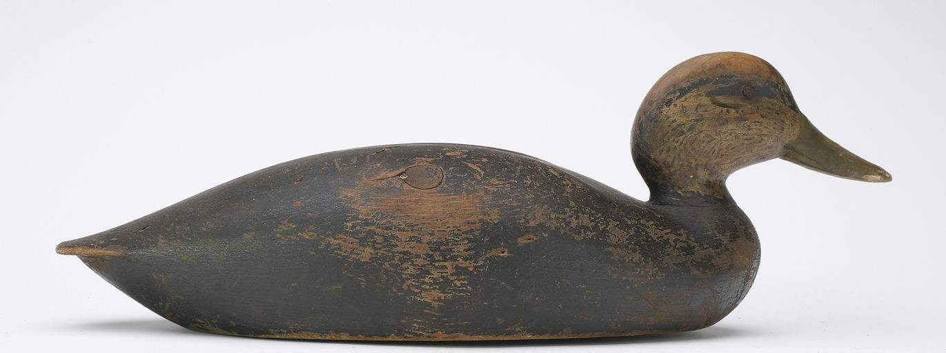Keyes Chadwick – Black Duck – 2024