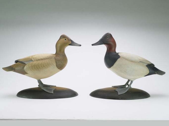 George Strunk – Pair of Canvasbacks – 2024