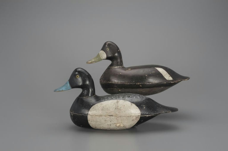 Eugene Hendrickson – Bluebill Pair – 2018