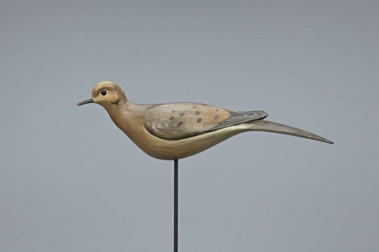 Bill Gibian – Mourning Dove – 2019