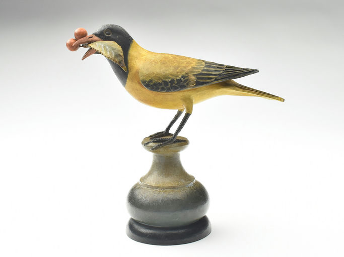 Frank Finney – Full size black-headed oriole – 2023