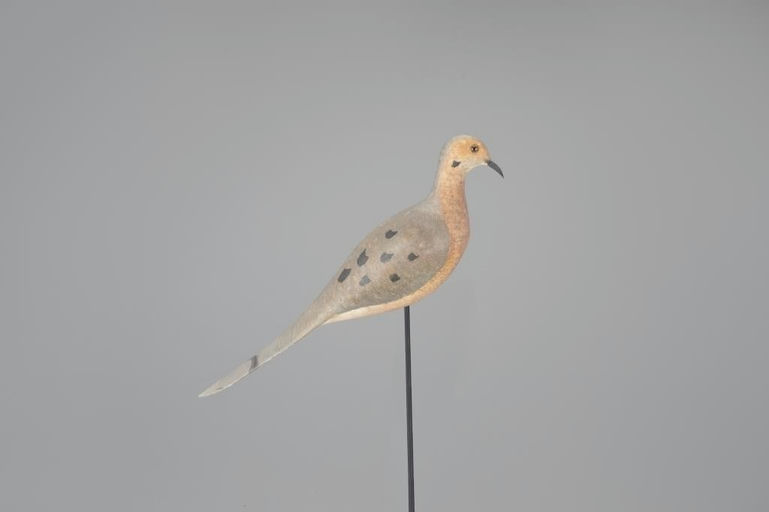 Harold Haertel – Dove Decoy – 2024