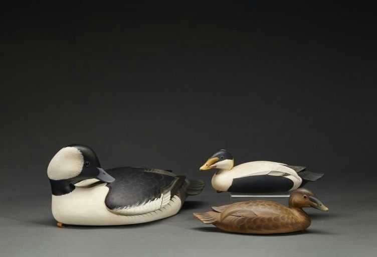 George Strunk – Preening Bufflehead and One-Third-Size Eider Pair – 2017