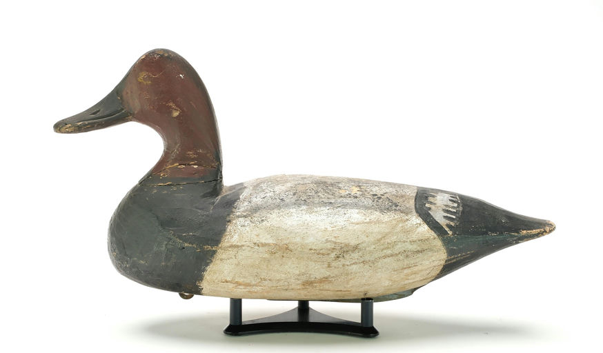 Doug Jester – Canvasback – 2025