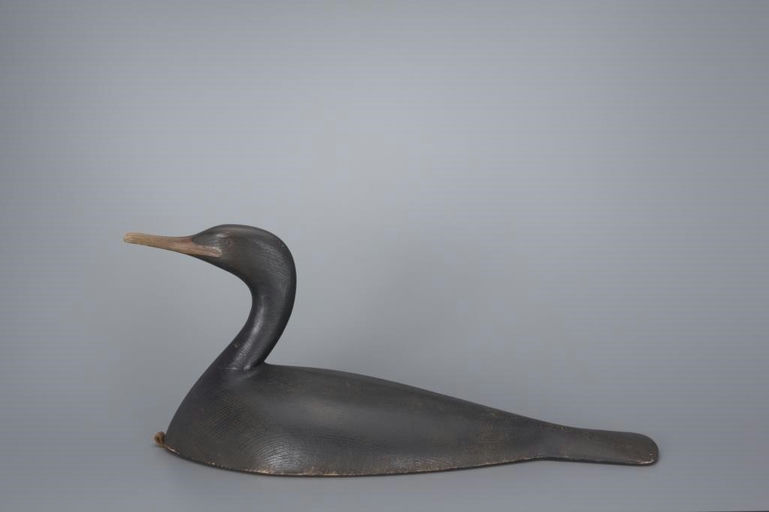 Mark McNair – Cormorant – 2017