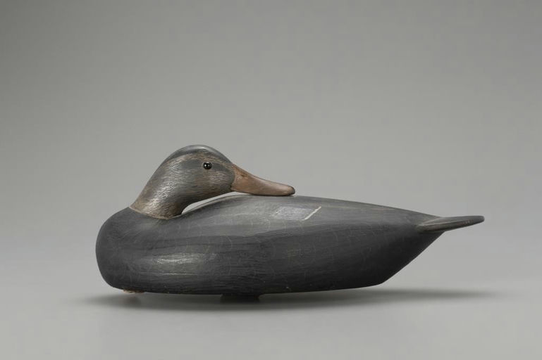 Mark McNair – Sleeping Black Duck – 2018
