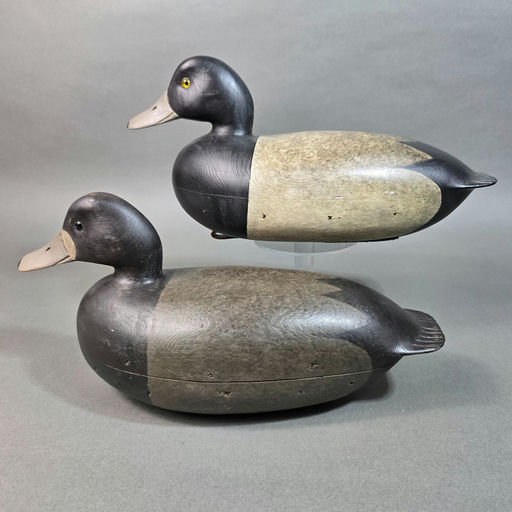 Rick Brown – Scaup – 2026