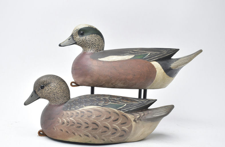 Reggie Birch – Wigeon – 2025