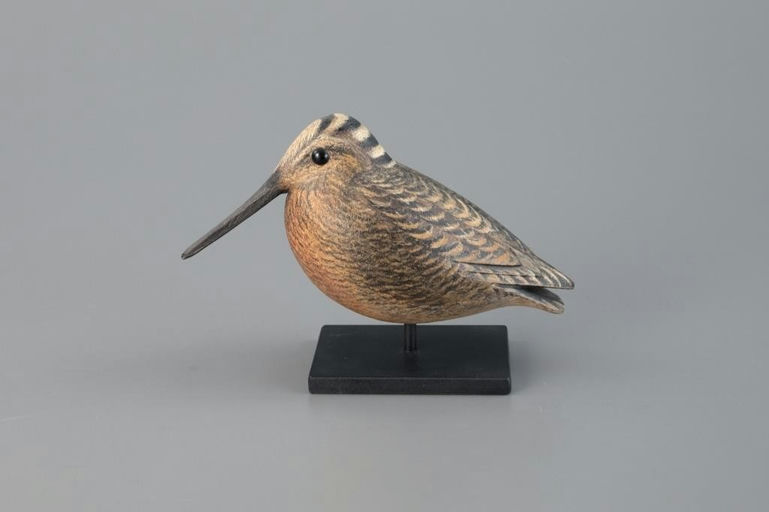 David Ward – Woodcock – 2025