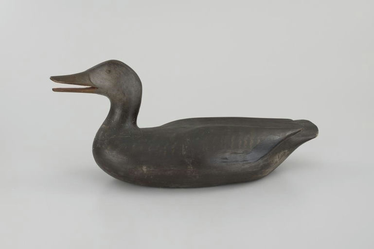 Gus Wilson – Calling Black Duck – 2026