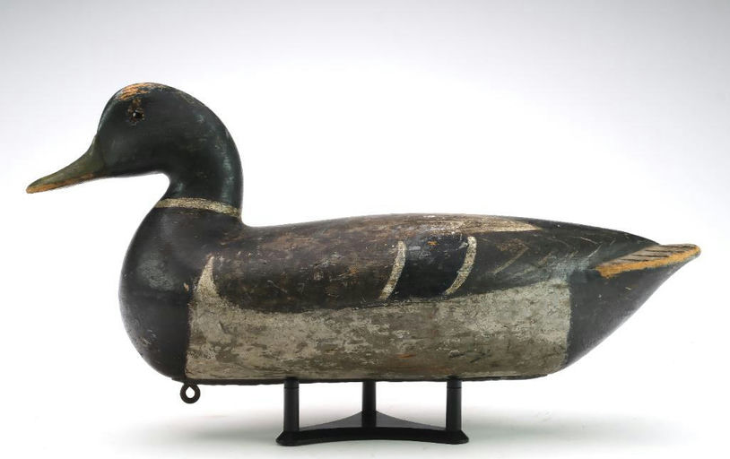 Charles Perdew – Mallard – 2024