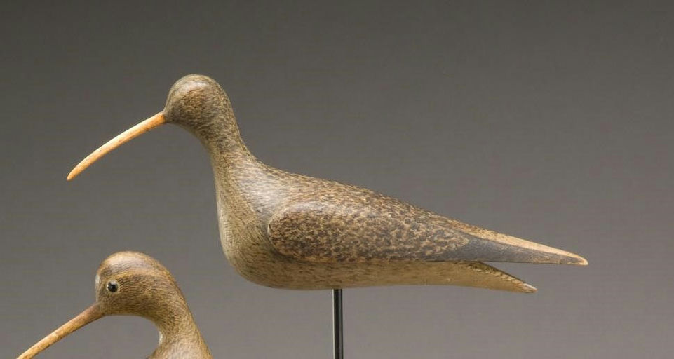 Mark McNair – Eskimo Curlew – 2009