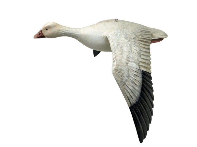 Mike Borrett – Flying Snow Goose – 2024