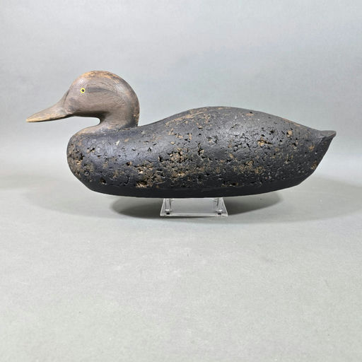 R. Madison Mitchell – Black Duck – 2026