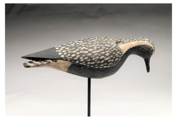 Grayson Chesser – Feeding Plover – 2021