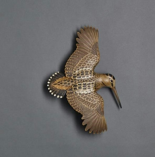 Eddie Wozny – Flying Woodcock – 2017