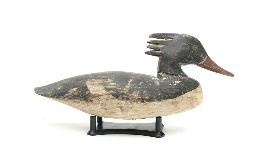 Doug Jester – Merganser – 2026