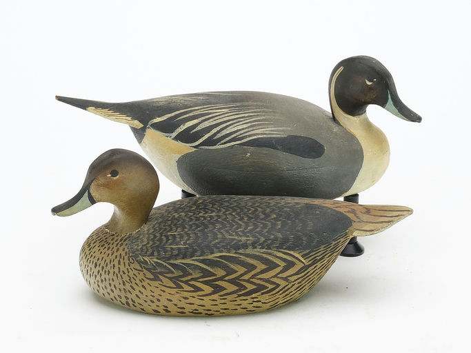 Ward Brothers – Pair of pintails – 2024