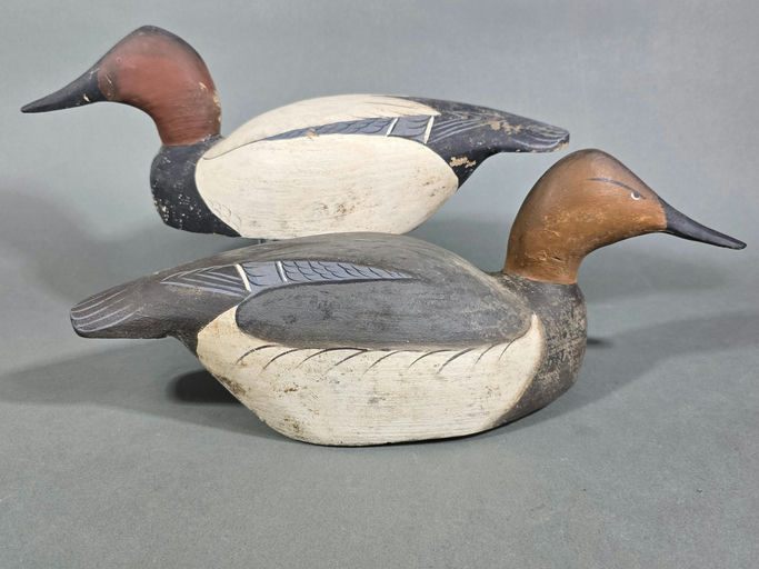 Ward Brothers – Canvasback – 2026