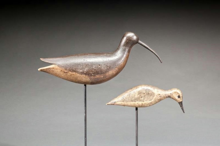 Leeds Family – Curlew – 2015