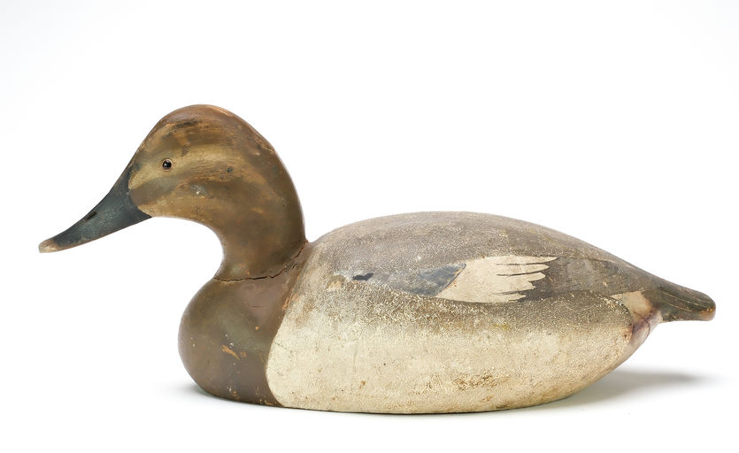 Ward Brothers – Canvasback – 2026
