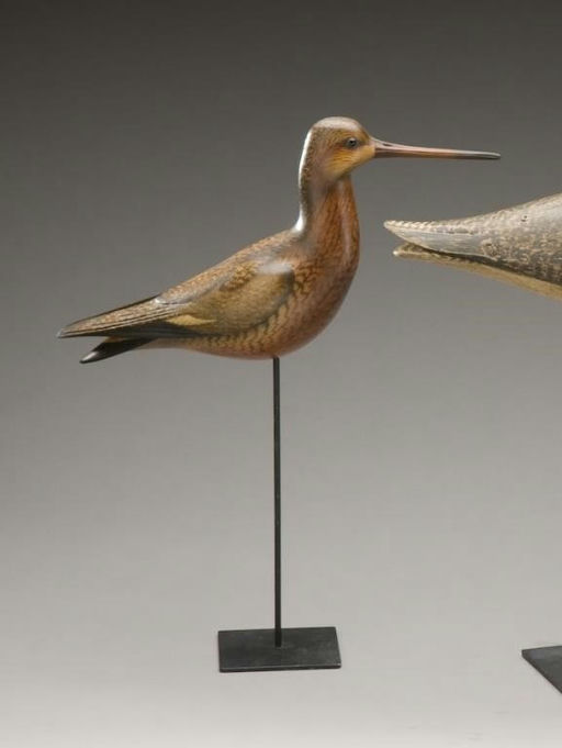 Bill Gibian – Hudsonian Godwit – 2010