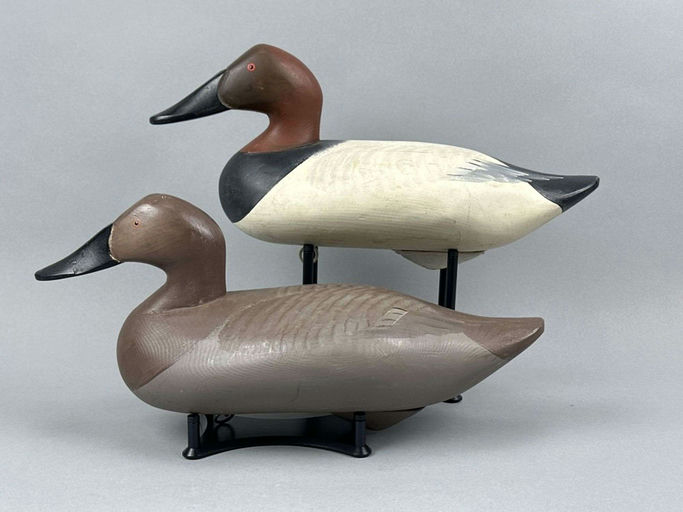 R. Madison Mitchell – Canvasback – 2026