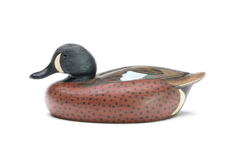 Ken Anger – Blue-winged Teal – 2025