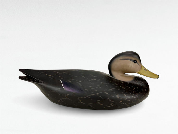 Pete Peterson – Black Duck – 2024