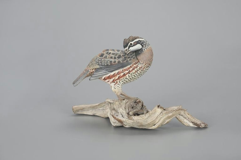 Ward Brothers – The Ward Bobwhite Quail – 2023
