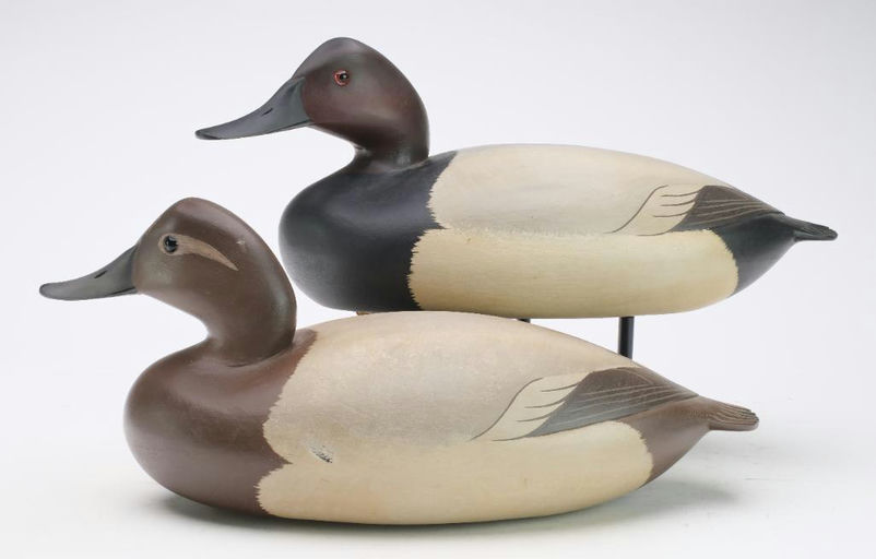 George Strunk – Pair of Canvasbacks – 2024
