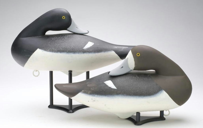Charlie Joiner – Pair of Bluebills – 2023