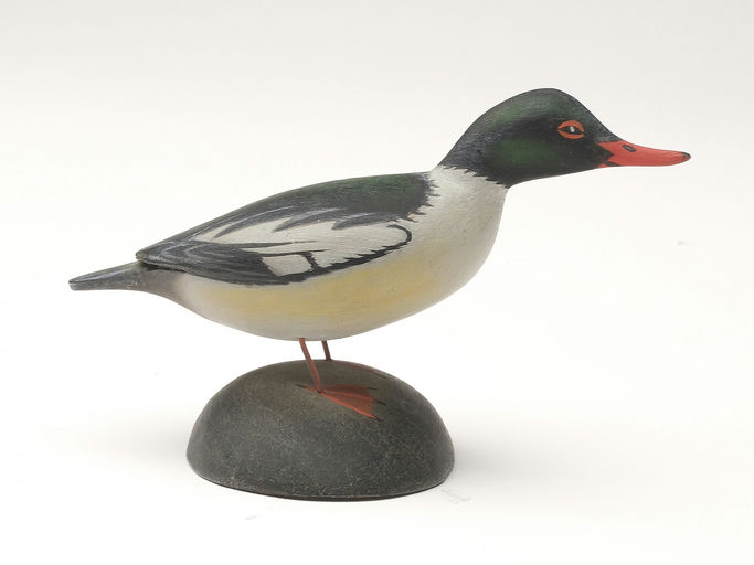 Elmer Crowell – American Merganser – 2023