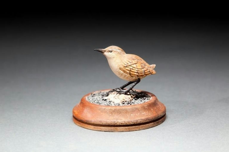 Roger C. Mitchell – Wren – 2016