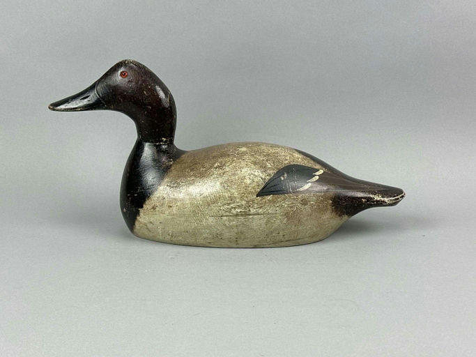 Evans Decoy Company – Canvasback Drake – 2026
