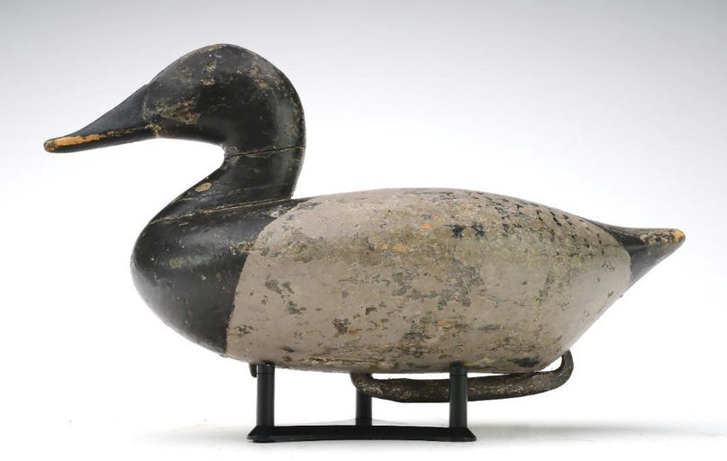 John Daddy Holly – Canvasback Hen – 2024