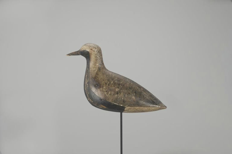 John McAnney – Black-Bellied Plover – 2023