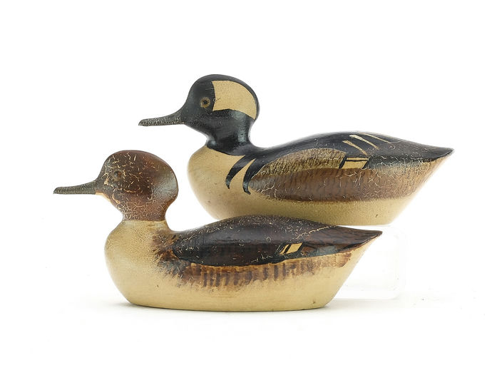 George Boyd – Hooded Merganser – 2024