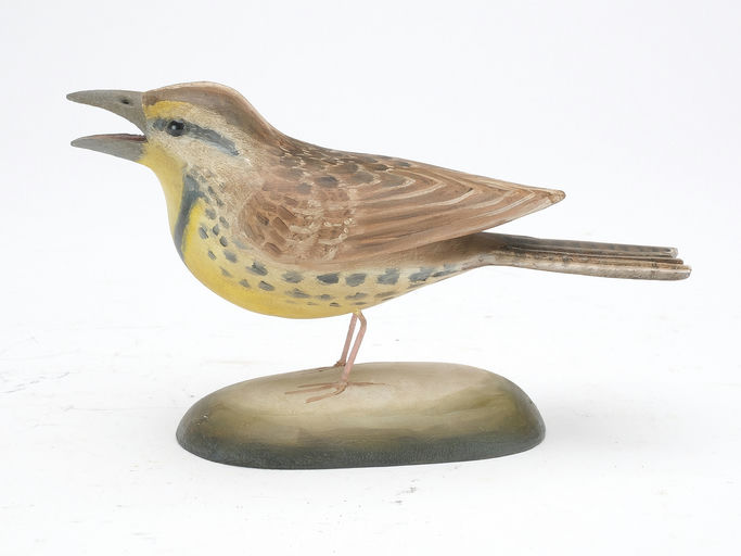 Frank Finney – Eastern meadowlark – 2023