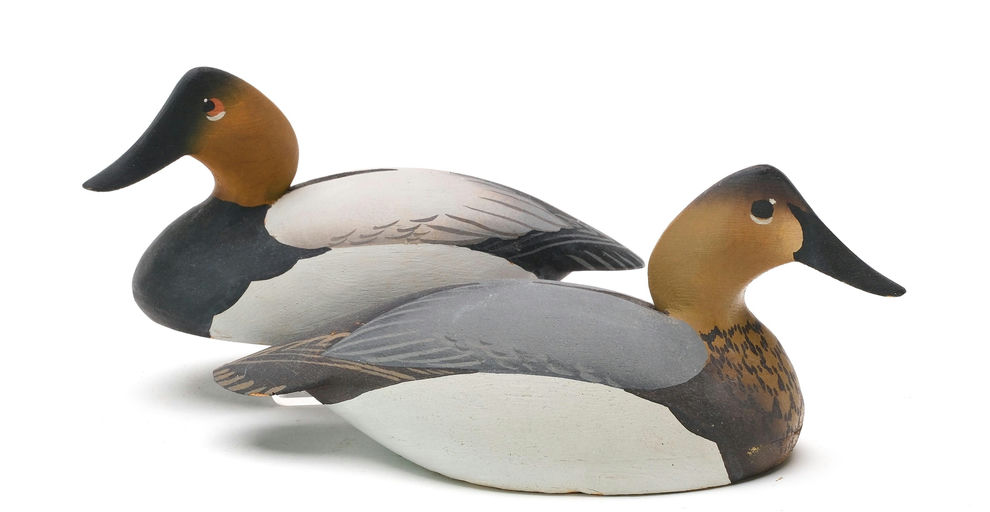 Oliver Lawson – Pair of Canvasback – 2025