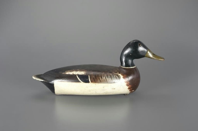 Bert Graves – "White-Sided" Mallard Drake – 2025