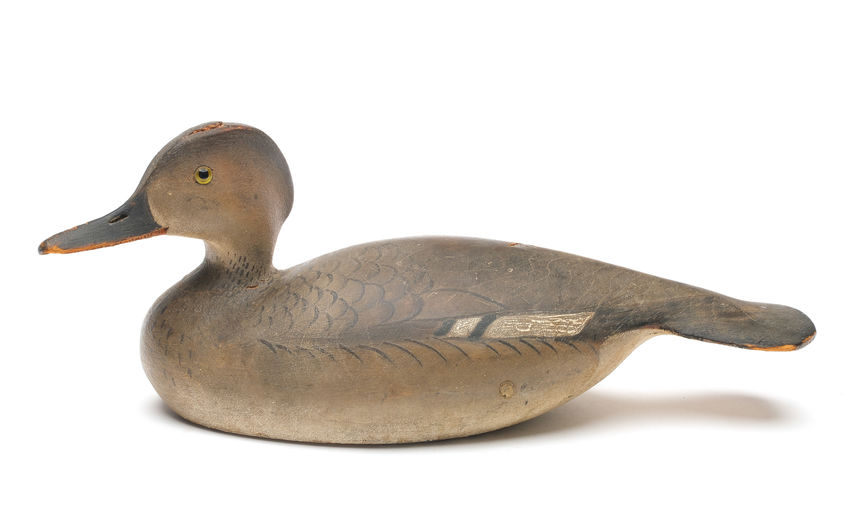 Ward Brothers – Hooded Merganser – 2026