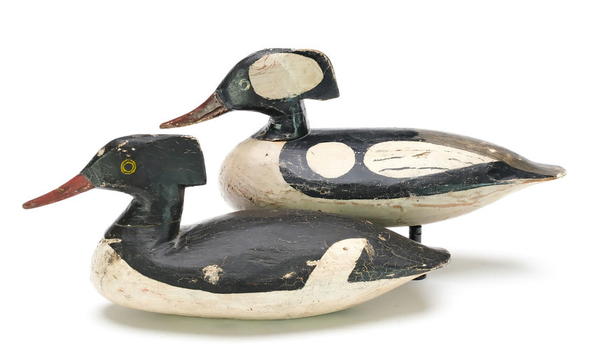Doug Jester – Hooded Merganser – 2025