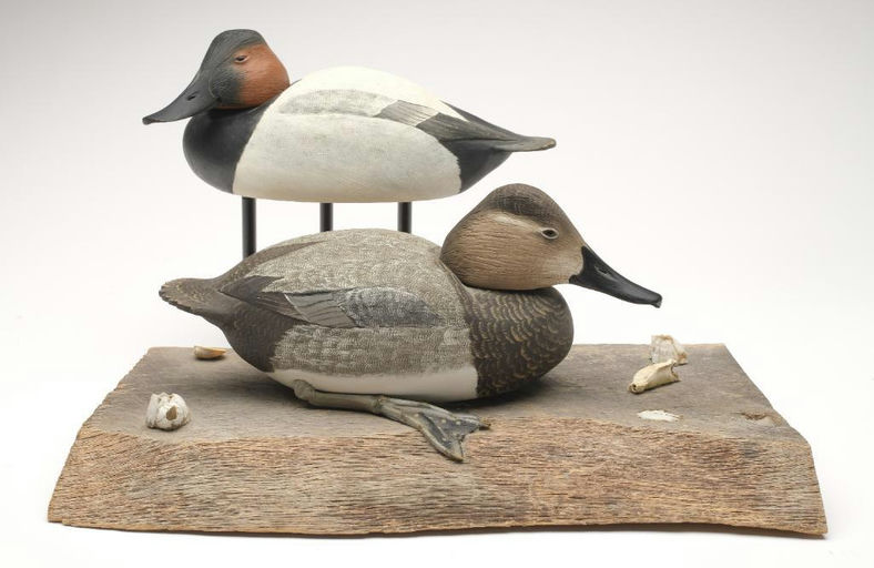 Corb Reed – Canvasback – 2023