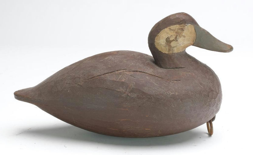 Reggie Birch – Ruddy duck – 2023