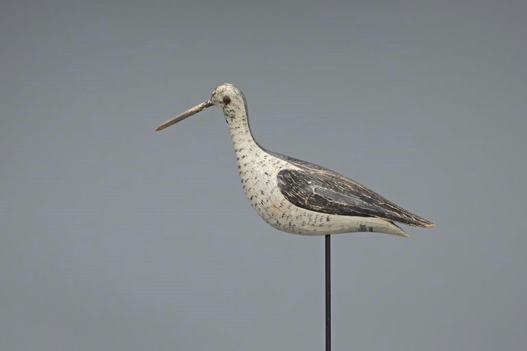 Joseph Lincoln – Mackey-Lincoln Yellowlegs – 2019