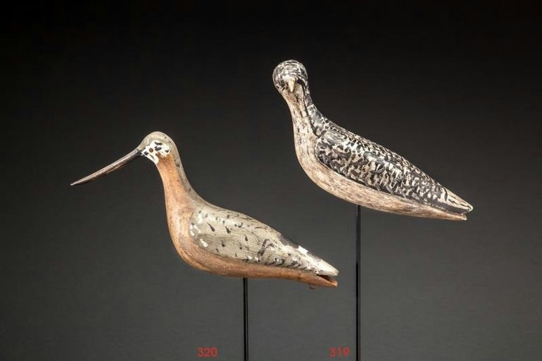 Randall Family – Turned-head Willet – 2014