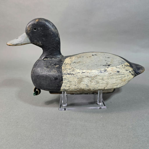 James or Cantler Families Mill Creek Annapolis – Scaup – 2026