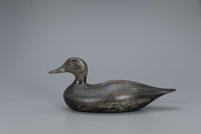 Joseph Lincoln – Oversize Black Duck – 2019
